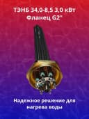 ТЭНБ 34,0 - 8,5 / 3,0 J 220/380 G 2"