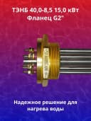 ТЭНБ 40,0 - 8,5 / 12,0 J 220/380 G 2"